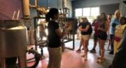 Visite guidée de la distillerie