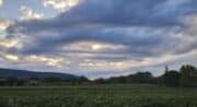 Domaine La Garelle