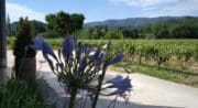 Domaine La Garelle