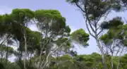 Sentier géologique - Cabrière d'Aigues à la Bergerie