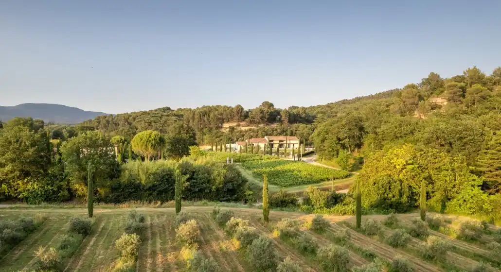Moulin à Huile & Domaine Bastide du Laval_Cadenet