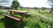 Domaine Les vadons Cucuron