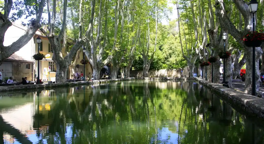Bassin de l'étang