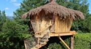 cabane aux oiseaux