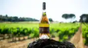 Domaine Les Perpetus