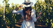 Découvrez leur vignoble...