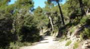 Rando Panorama à 360°