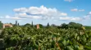 Sentier vignerons