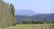 Les coteaux de Grambois