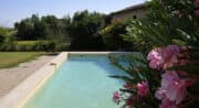 Vignoble en Luberon