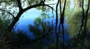 Etang de La Bonde