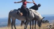 Cheval Enjeu