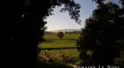Domaine Le Novi