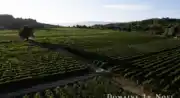 Domaine Le Novi