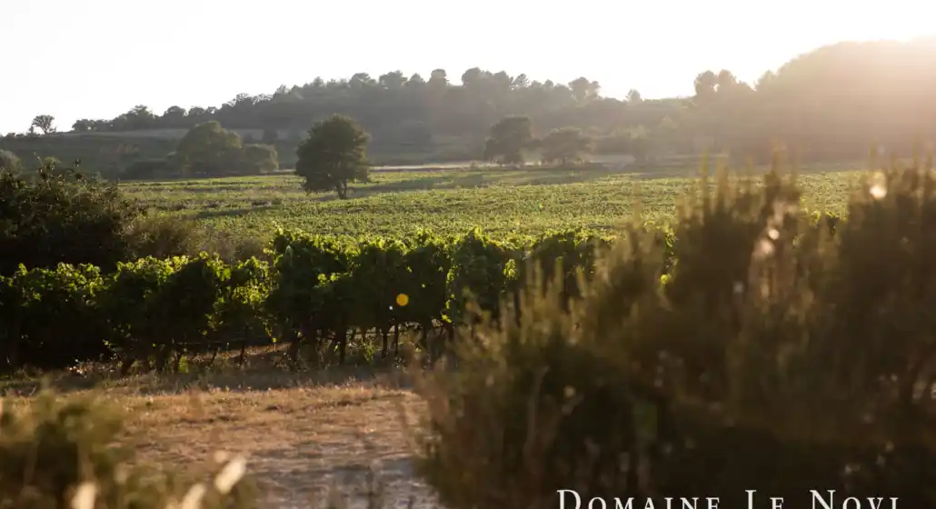Domaine Le Novi