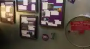 Lavandoscope