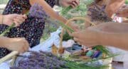 La Provence en Bouteille