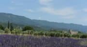 La Provence en Bouteille