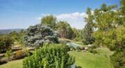 Vue du jardin et de la piscine