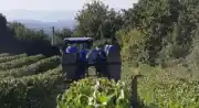 Dans un cadre préservé
