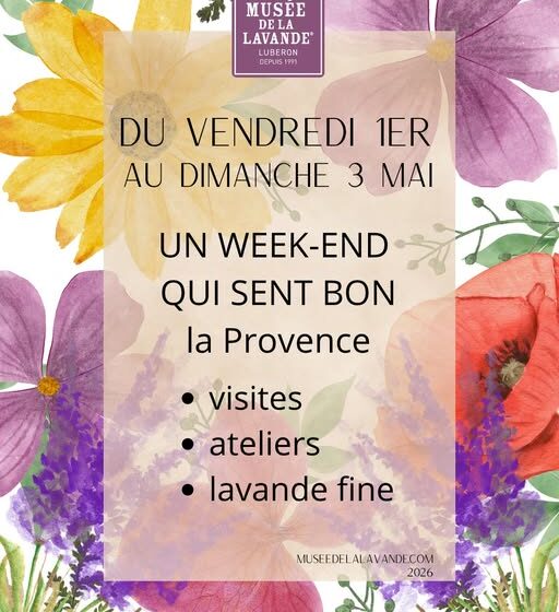 Week-end prolongé du 1er mai au Musée de la Lavande_Cabrières-d'Avignon