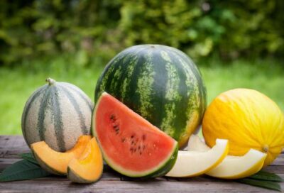 melons pastèques…