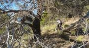 Parcours VTT La Motte d'Aigues
