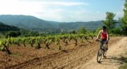 Parcours VTT Cadenet