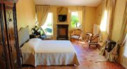 Suite Tournesol