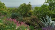 Jardin des Plantes Tinctoriales