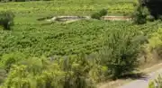 Rallye du vin en 2cv