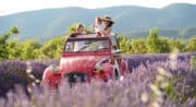 L&rsquo;expérience lavande  et immersion avec l&rsquo;agriculteur en 2cv avec Oh My Deuche