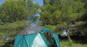 Dome geodesique