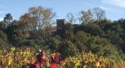 Dégustation au Château de Mille