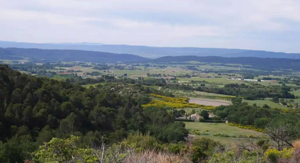 Circuit au Mourre Nègre depuis Cucuron