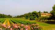 Mas Beauchâteau