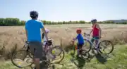 ANSOUIS – A vélo, entre terroirs et olives