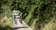 ANSOUIS – A vélo, entre terroirs et olives