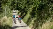 ANSOUIS – A vélo, entre terroirs et olives