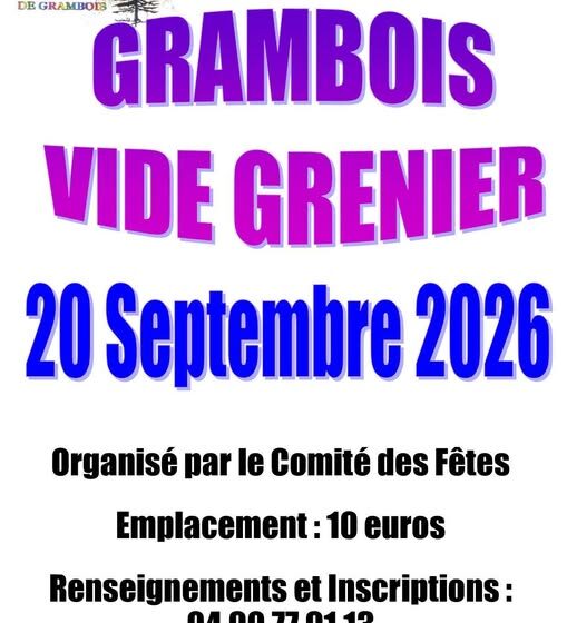Vide Grenier à Grambois_Grambois