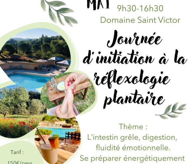 Journée d'initiation à la réfléxologie plantaire au Domaine St Victor à La Tour d' Aigues_La Tour-d'Aigues
