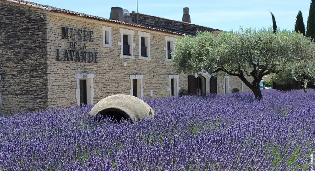 Musée de la Lavande