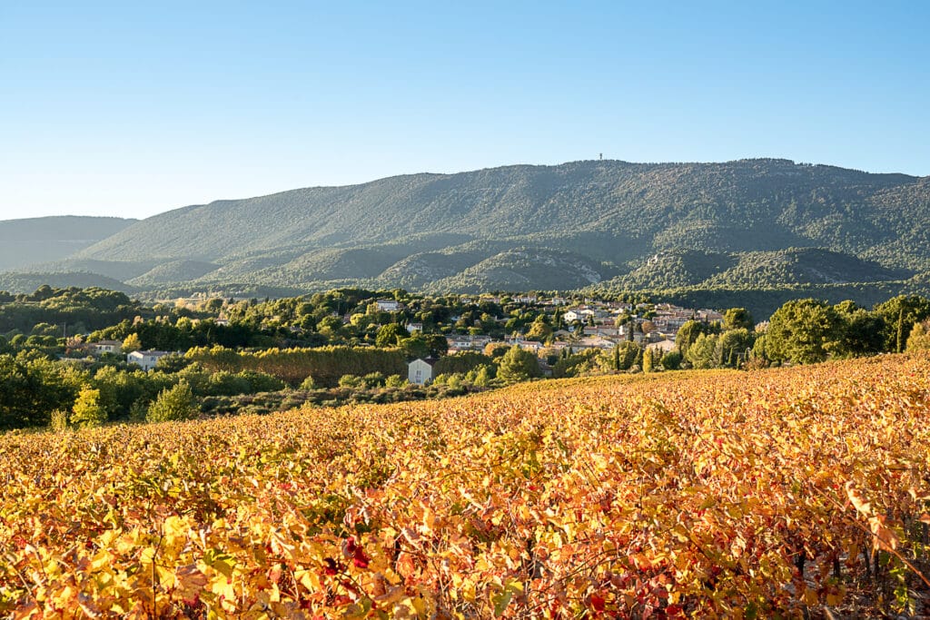 L'automne à Cabrières