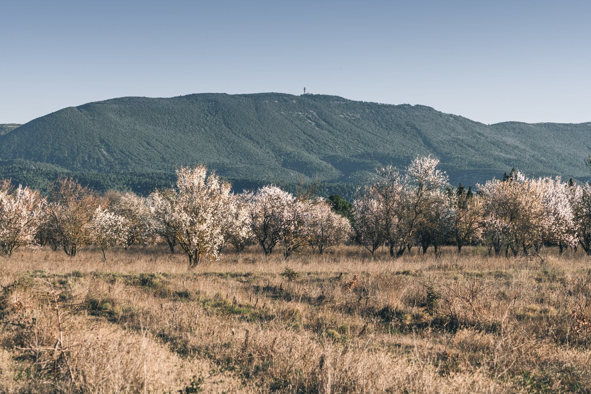 Photo Suud Découvrir le Sud Luberon en 2025 : villages, saveurs et nature