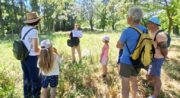 Savante Nature_Villelaure