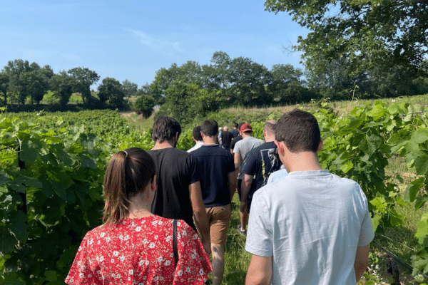 Au coeur du vignoble au Domaine " Le Novi"_La Tour-d'Aigues