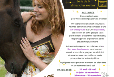 Médiation équine « Bel âge »- Ateliers équicoaching de soutien art thérapie._Pertuis