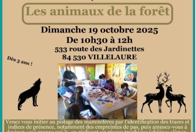 Savante Nature :  animation sur les animaux de la forêt à Villelaure_Villelaure
