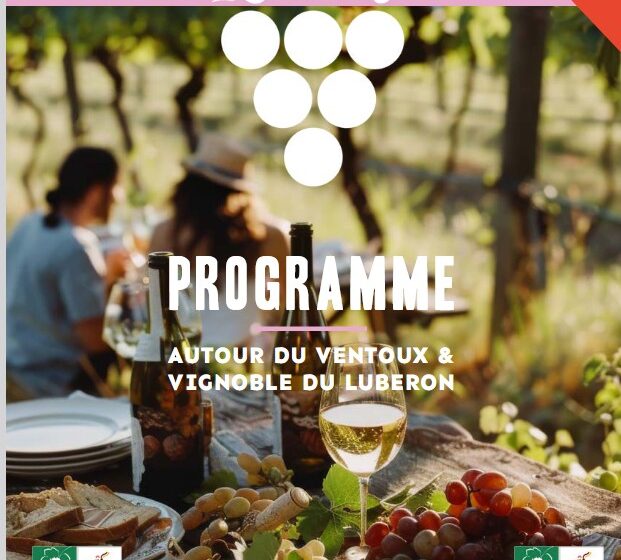 Vignobles en Scène : A la conquête de l'or vert au moulin Bastide du Laval à Cadenet_Cadenet