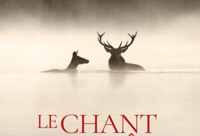 Le Cigalon : Cinéma en plein air au Château de la Tour d’Aigues : Le Chant des forêts_La Tour-d’Aigues